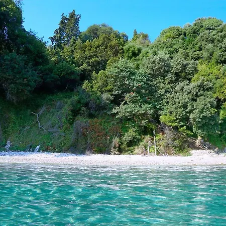 Villa Olivia On Sea *