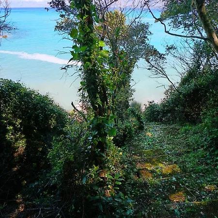 Olivia On Sea ヴィラ