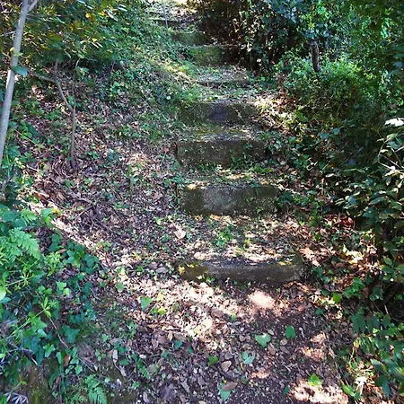 ヴィラ Olivia On Sea