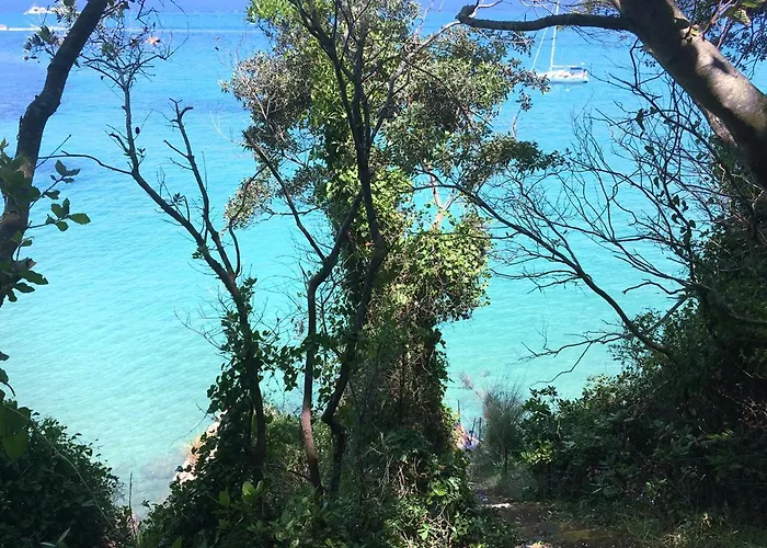 Villa Olivia On Sea